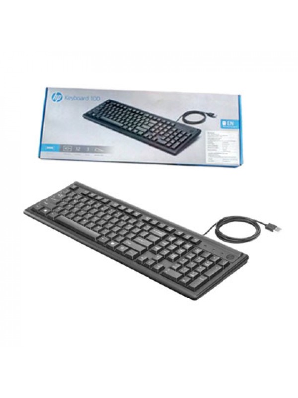 hp keyboard 100